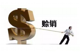 景德镇景德镇讨债公司服务